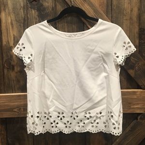 White Eyelet Crop Top